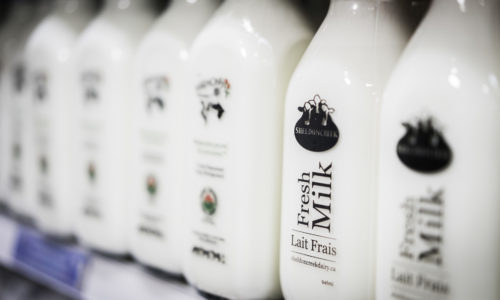 bottled fresh milk bottled fresh milk