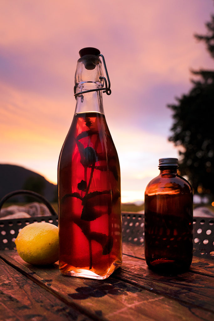 https://thesweetpotato.ca/wp-content/uploads/2018/07/lemon_kombucha_botannica_iced_tea-683x1024.jpg