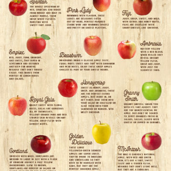 TSP_Apples-to-Apples_Infographic_v2.4 TSP_Apples-to-Apples_Infographic_v2.4