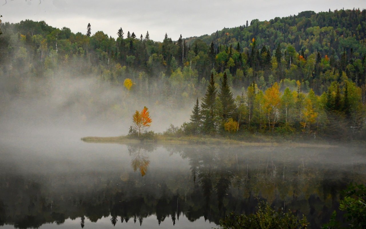 https://thesweetpotato.ca/wp-content/uploads/2020/11/landscape-4547734_1920-1280x801.jpg
